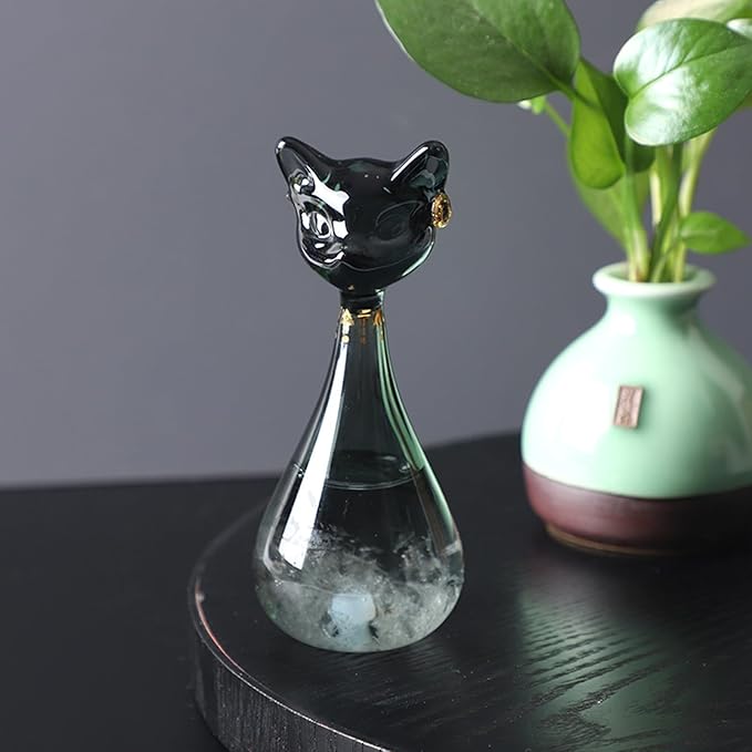 Storm Glass Weather Forecaster