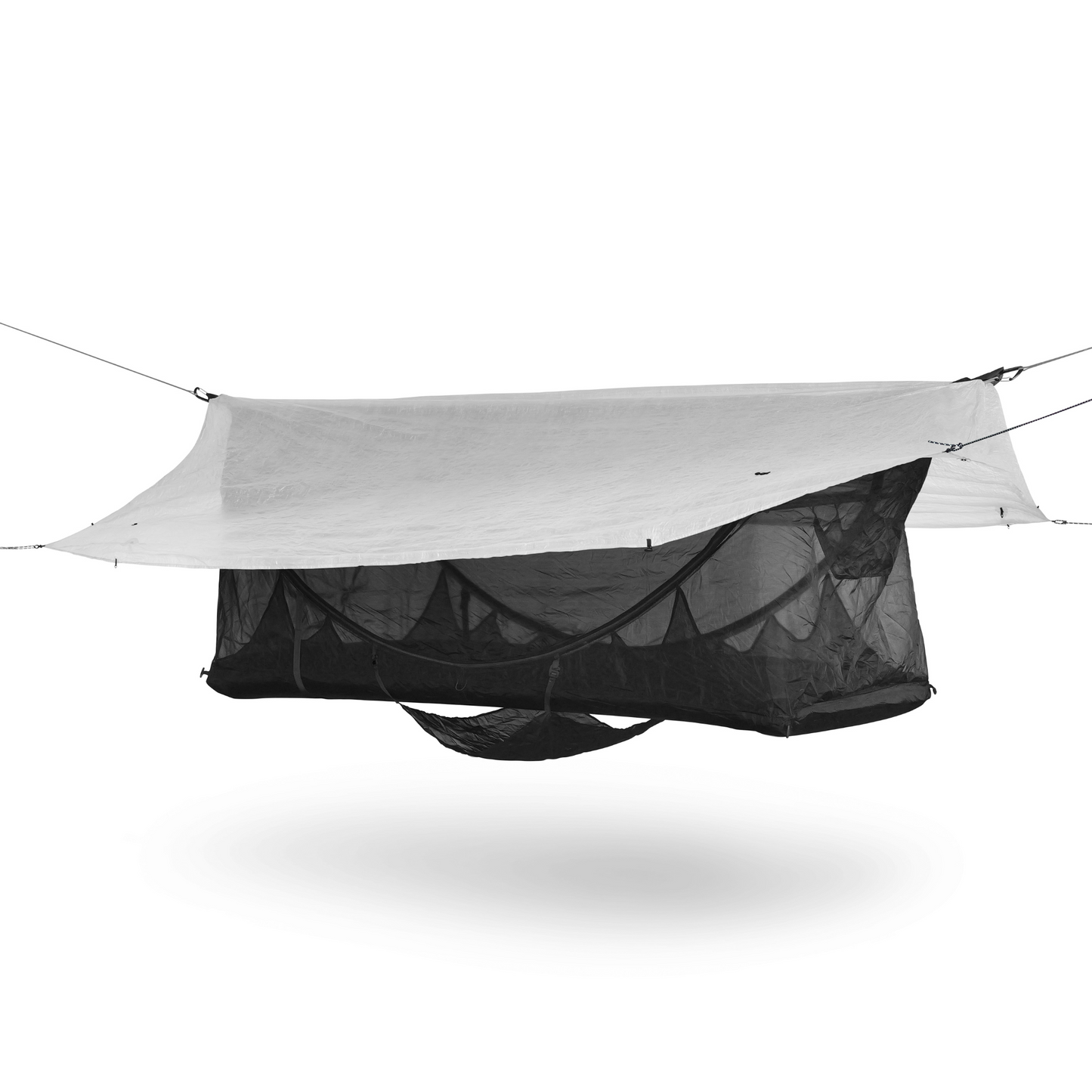 Wild Hammock