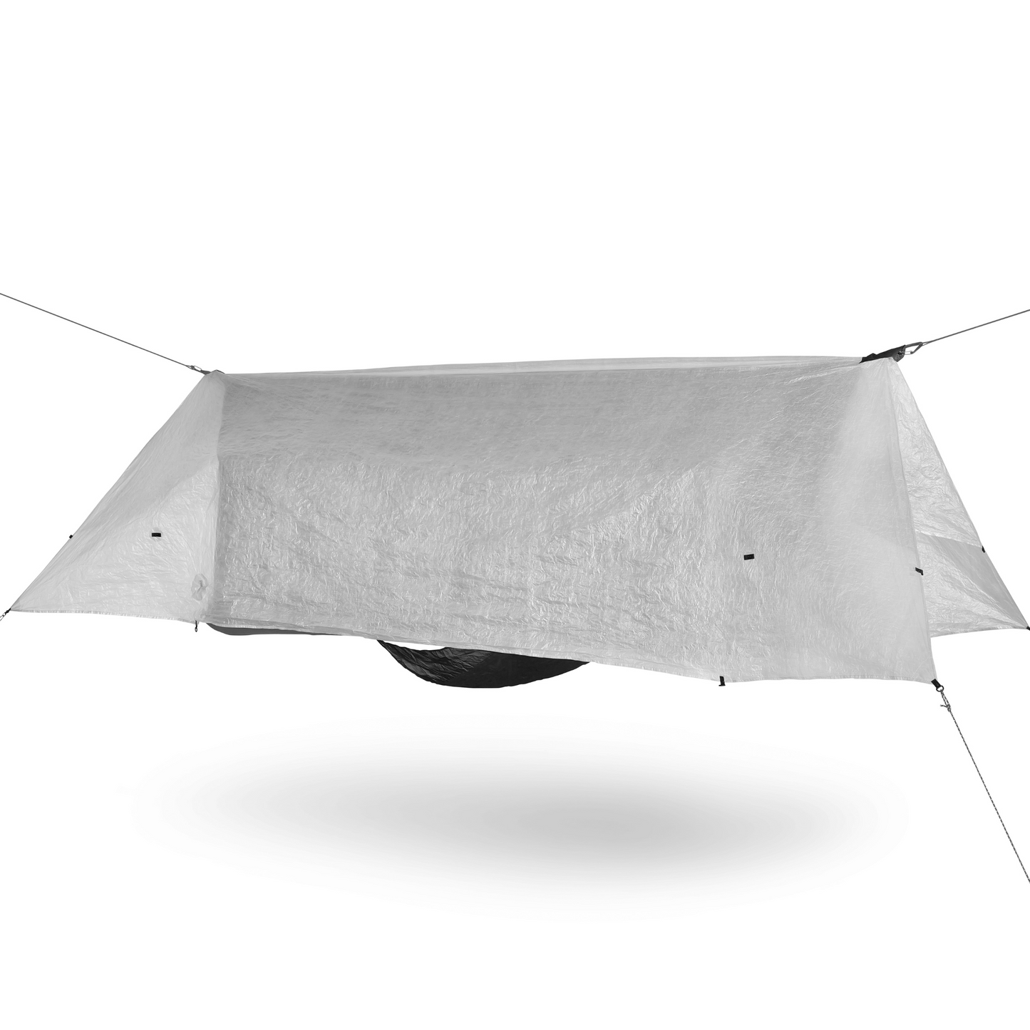 Wild Hammock