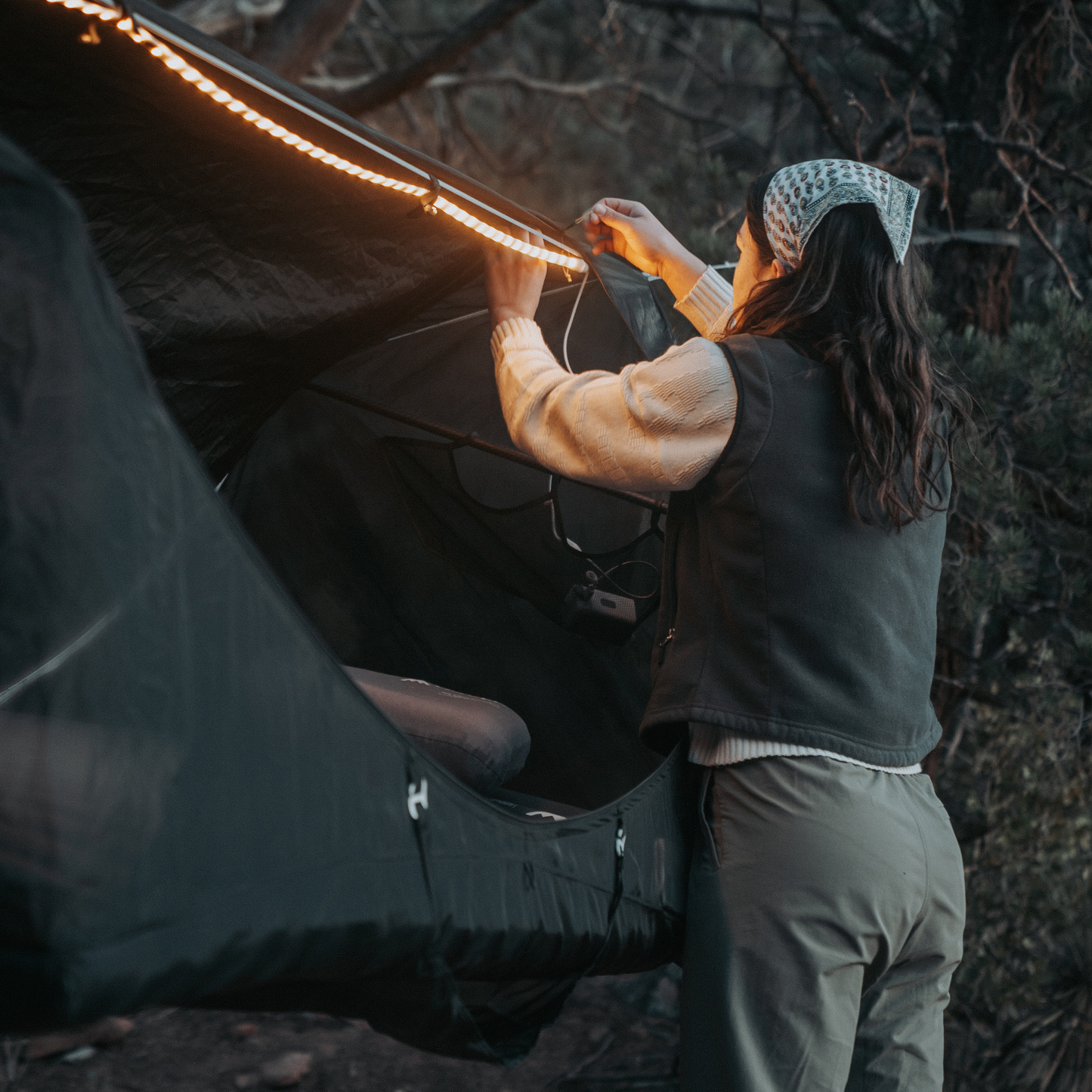 Wild Hammock