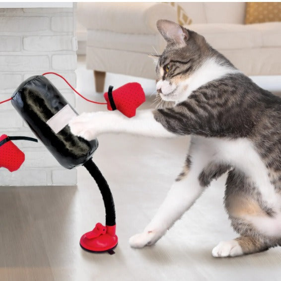 Interactive Cat Toy – Multifunctional Indoor Pet Exercise Punching Bag | Creative Boxing Design with Gloves