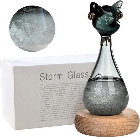 Storm Glass Weather Forecaster