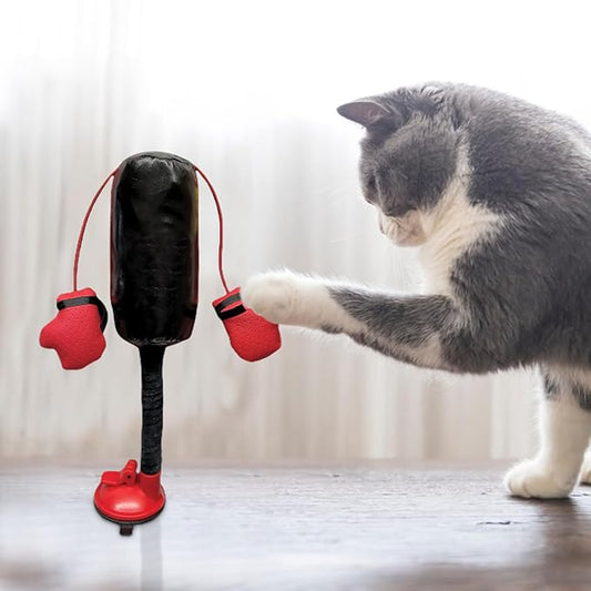 Interactive Cat Toy – Multifunctional Indoor Pet Exercise Punching Bag | Creative Boxing Design with Gloves