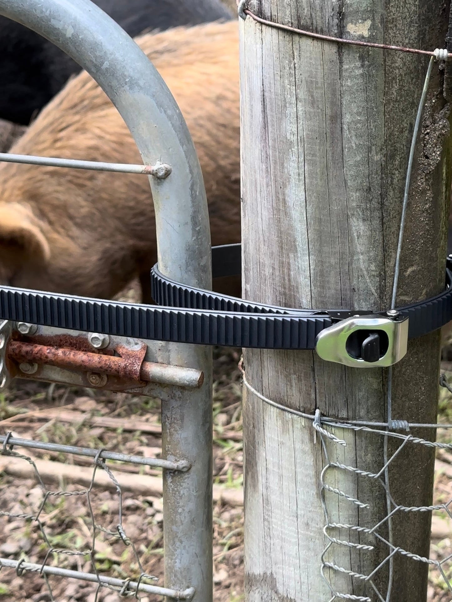 Heavy-Duty Reusable Grip Straps
