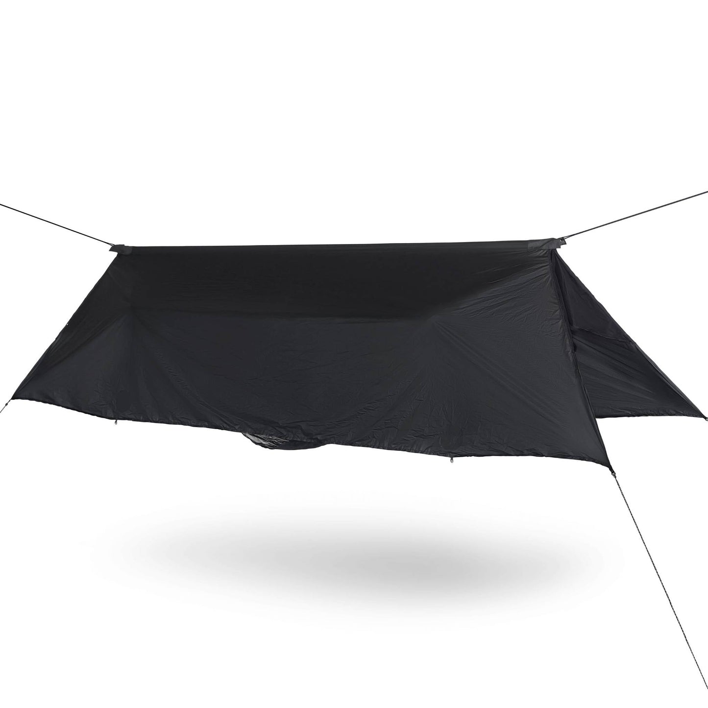 Wild Hammock