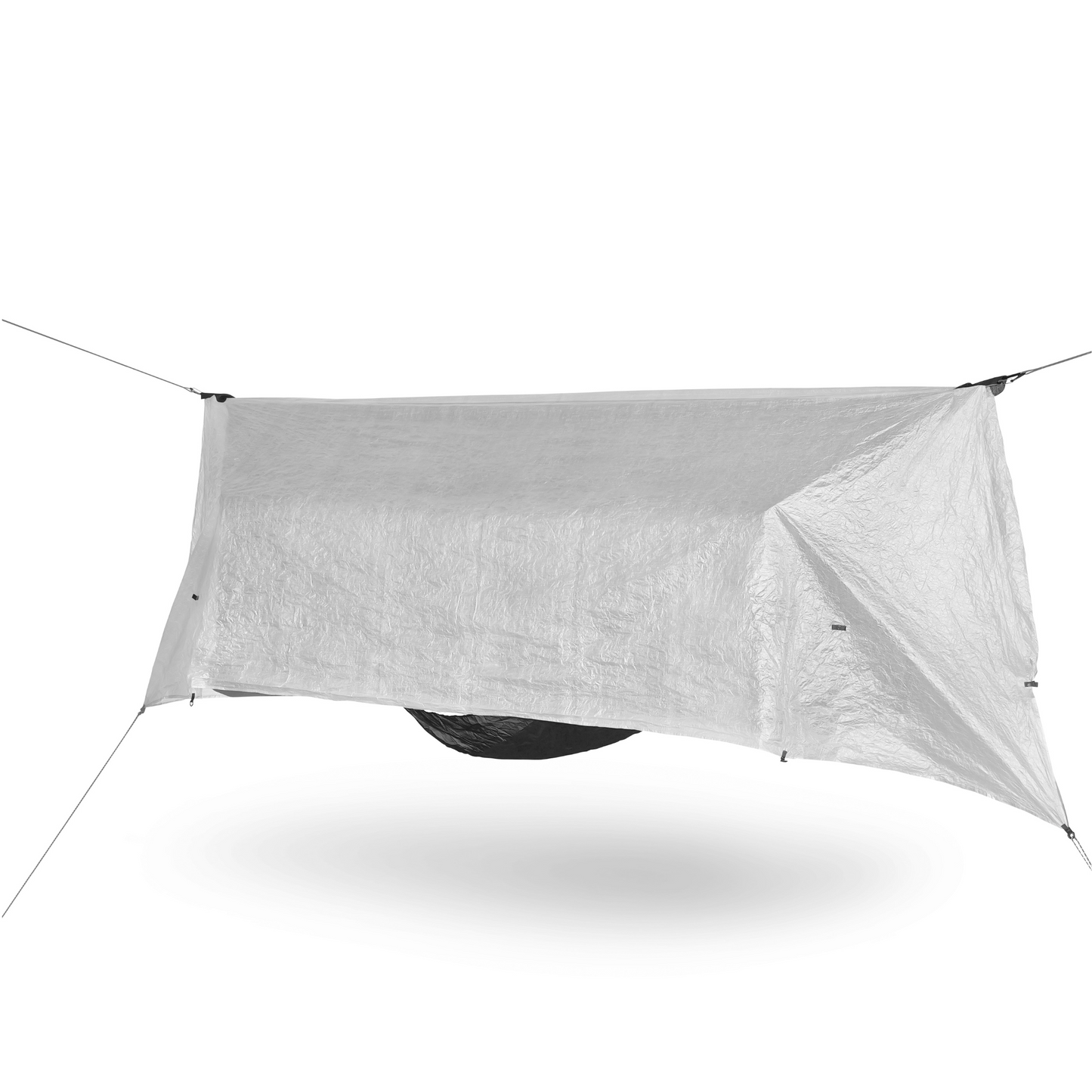 Wild Hammock