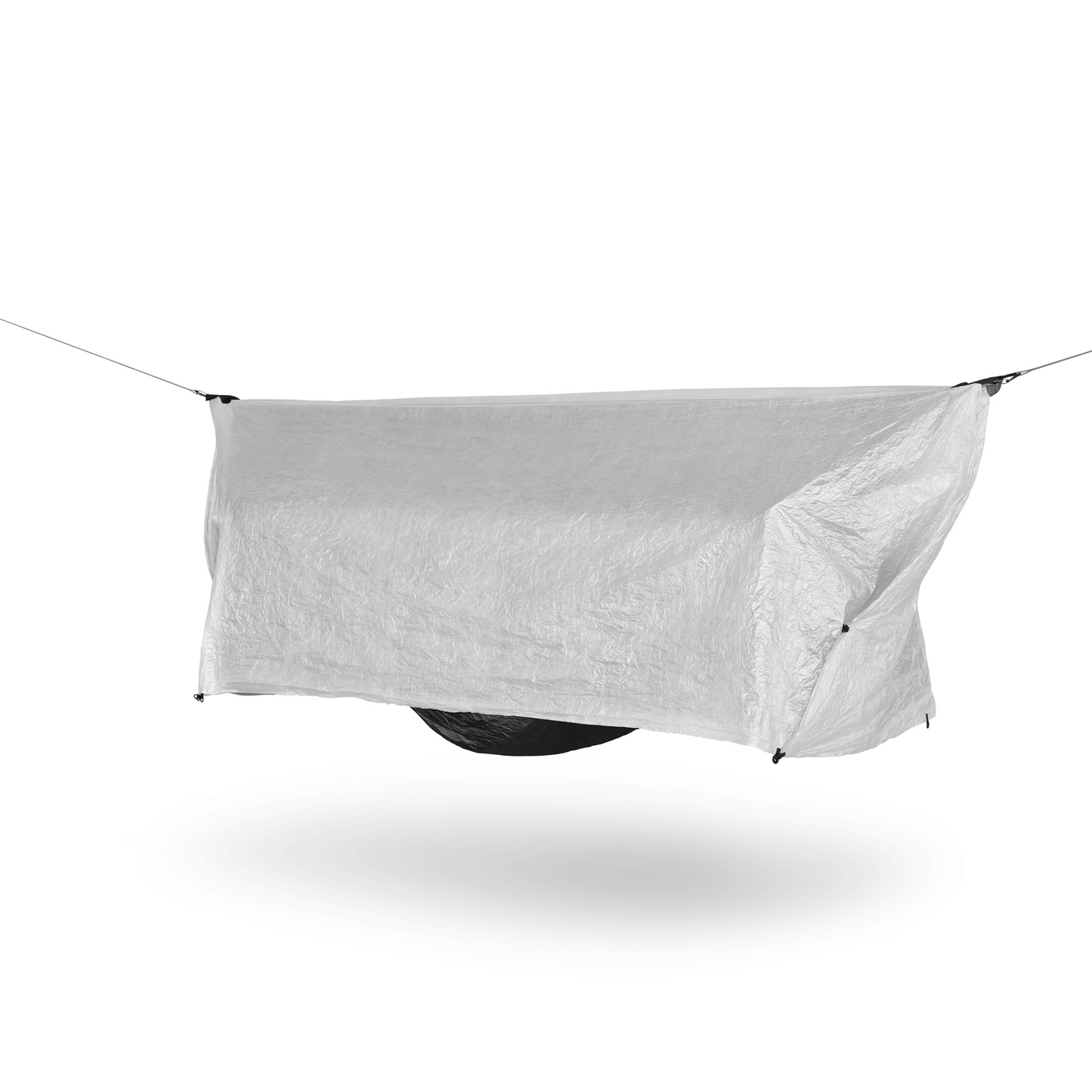 Wild Hammock
